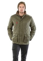 Veste Cheltenham Gold